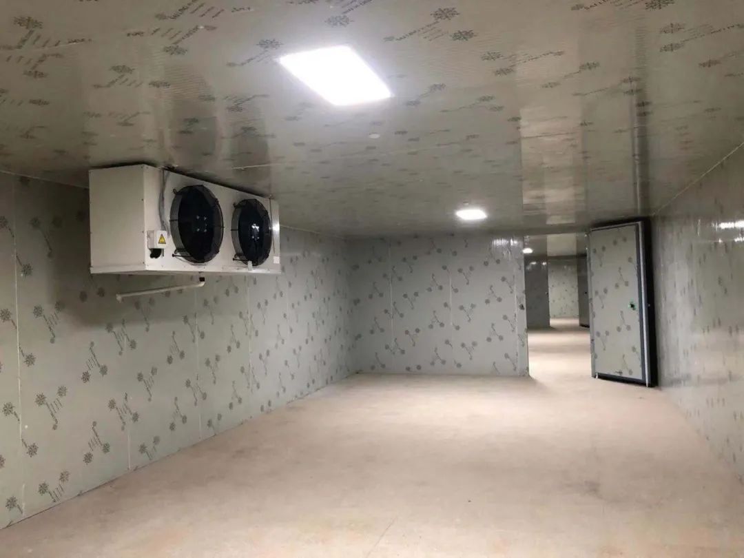 矿区气调保鲜冷库造价